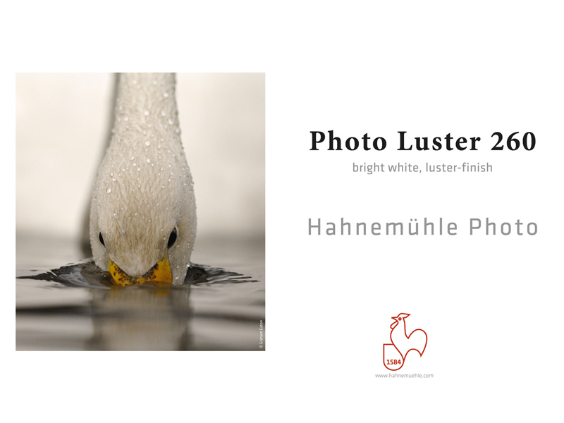 Carta Hahnemühle Carta Fotografica Photo Luster 260 g. A6