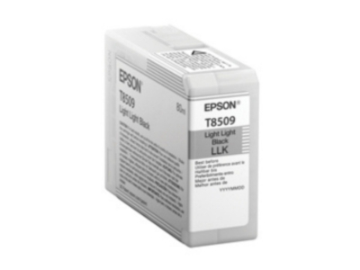 Ink Cartucce Originali Epson Inchiostri Singlepack Light Light Black T850900 UltraChrome HD ink 80ml